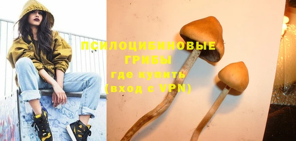 СК Зерноград