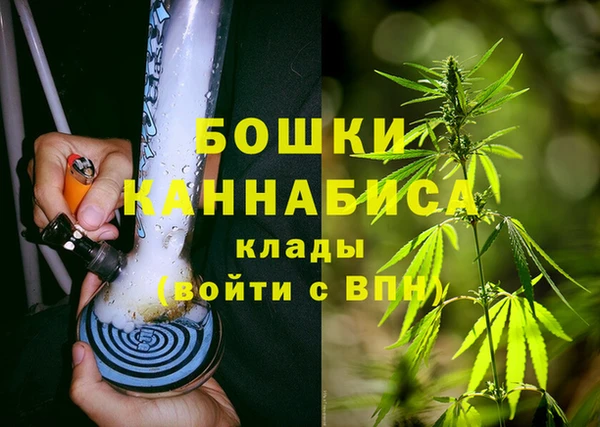 бошки Болотное