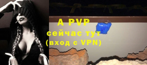 a pvp Карпинск