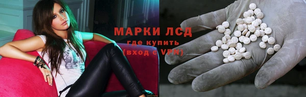 СК Зерноград