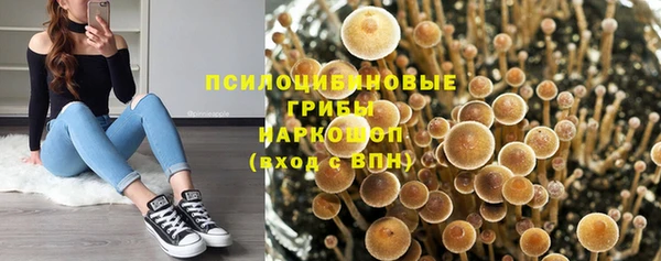 гидропоника Зеленодольск