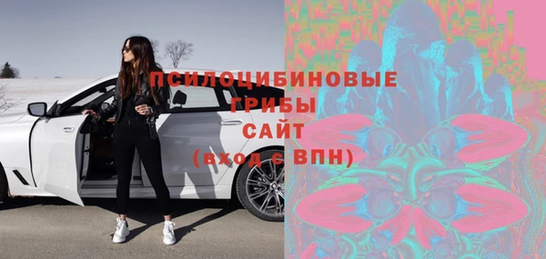 гидропоника Зеленодольск